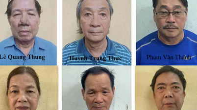 22 vádlottat vádoltak meg a Vietnam Rubber Industry Groupot érintő ügyben.