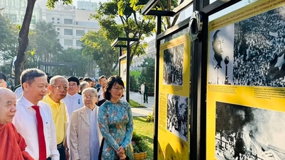 Triển lãm hơn 100 hình ảnh về Dân tộc anh hùng, Đảng quang vinh, Bác Hồ vĩ đại