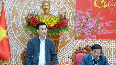 Wilayah Lam Dong memberi tumpuan kepada menghapuskan kesesakan dalam sektor tenaga.