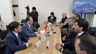 Z Santiago do Patagonii: Ambasador Wietnamu rozszerza współpracę w chilijskim regionie produkcji łososia.