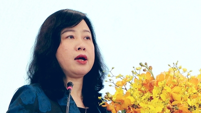 Helseminister Dao Hong Lan skisserte seks problemstillinger som folk forventer av helsesystemet.