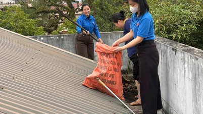 The Rural Development Sub-Department organized a general cleaning of the office to welcome the Lunar New Year of the Horse 2026.