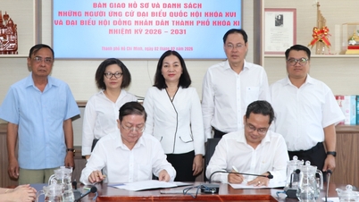 Ciudad Ho Chi Minh: 60 candidatos a representantes de la Asamblea Nacional, 222 candidatos a representantes del Consejo Popular.