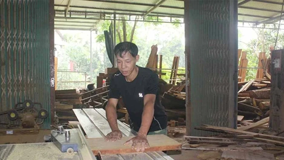 ឌីណាមិក តាំហុង