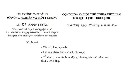 Implementing Government Decree No. 21/2026/ND-CP dated January 16, 2026, related to the field of geology and minerals.