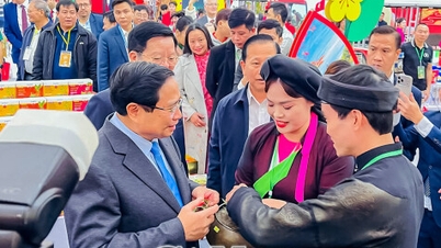 Ca Mau promueve su cultura y turismo en la Feria de Primavera de Hanoi.