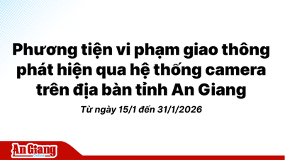 Infractions routières détectées par les systèmes de caméras dans la province d'An Giang du 15 au 31 janvier 2026.