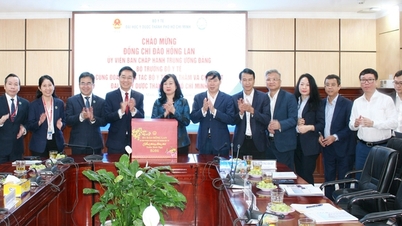 Menteri Dao Hong Lan melawat dan menyampaikan ucapan Selamat Tahun Baru kepada guru-guru dan pelajar Universiti Perubatan dan Farmasi Bandar Raya Ho Chi Minh.