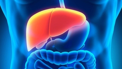 Fiți vigilenți în cazul insuficienței hepatice acute.