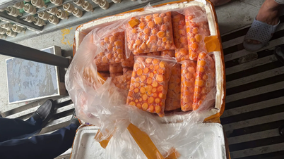 Hơn 12 tấn sụn gà, trứng non nghi nhập lậu được phát hiện trong xe container