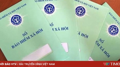 Trebuie să plătesc prime de asigurare la semnarea unui contract de service?