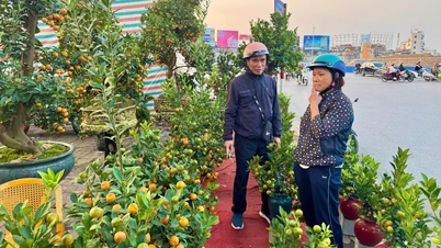 Pasar bunga Tet sedang berada dalam musim puncaknya.