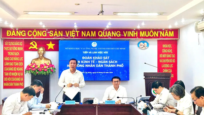 Ho Chi Minh City People's Council surveys the implementation of science, technology, and digital transformation.
