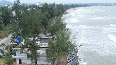 Open a pedestrian street on the most beautiful beach in Quang Ngai.