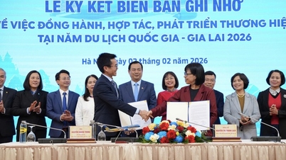Vietnam Airlines anunță 140 de programe de promovare și publicitate turistică sub tema „Zboruri înalte cu aspirațiile Vietnamului”.