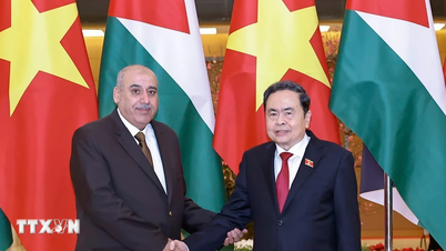 قومی اسمبلی کے چیئرمین ٹران تھانہ مین نے اردنی ایوان نمائندگان کے اسپیکر سے بات چیت کی۔