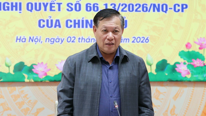 Garis panduan untuk pemeriksaan keselamatan dan pengujian makanan import mengikut Dekri 46