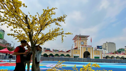 Ho Chi Minh City: Proposal to temporarily halt renovations of Ben Thanh Market and Turtle Lake.