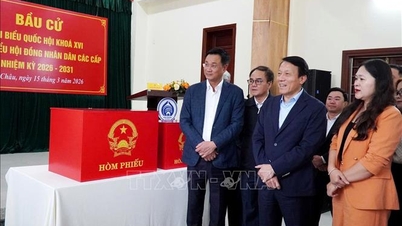 Preparations in Da Nang are being carried out seriously and on schedule.