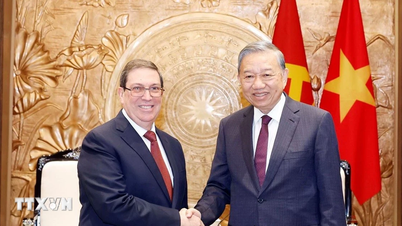 El Secretario General recibió al Enviado Especial del Partido y el Estado de Cuba y al Ministro de Relaciones Exteriores de Cuba.