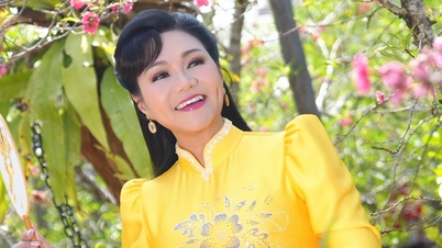 Le clip vidéo du Nouvel An suscite de vives critiques ; l'artiste méritante Ngoc Huyen prend la parole.