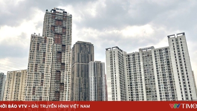 Mid-range apartments are about to return to the Hanoi market.