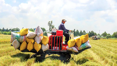 Supporting farmers to improve agricultural production efficiency.