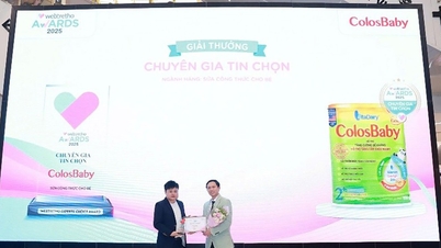 ColosBaby Gold was selected by experts at the Webtretho Awards 2025.