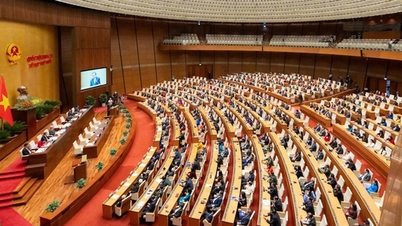 Știri de dimineață, 3 februarie: Deschiderea celei de-a 54-a sesiuni a Comisiei permanente a Adunării Naționale, care examinează două rezoluții importante.