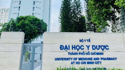Ho Chi Minh Şehri Tıp ve Eczacılık Üniversitesi, kabul sürecini sıkılaştırdığı sırada, uzmanlık programıyla ilgili sahte bilgilerin hedefi oldu.