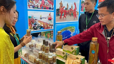 Hai Phong deltar på vårmessen 2026 med temaet «Kjernen av kulturarv, strålende av vårens farger».