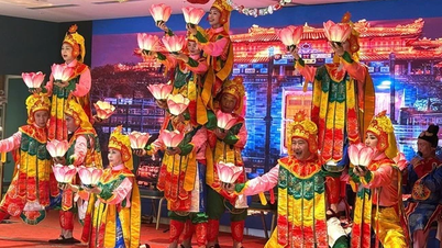 Hue Royal Court Music: Pokračování v dědictví a jeho propagace v Austrálii.