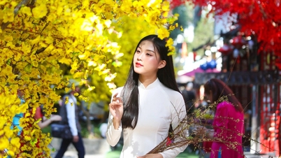 오늘 날씨 (2월 3일): 북쪽은 안개, 남쪽은 덥고 맑음.