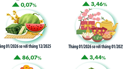 하노이: 1월 소비자물가지수(CPI)는 0.07% 소폭 상승했다.