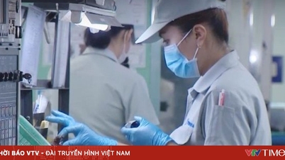 Fast 60 % der japanischen Unternehmen sind bereit, ihre Investitionen in Vietnam auszuweiten.