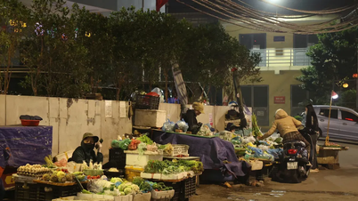 Fra å selge grønnsaker for å leve til å takle det urbane ordensproblemet i Hanoi.