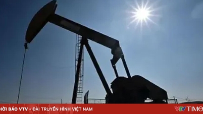 Os preços do petróleo despencam.