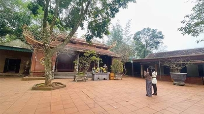 Criar um ambiente cultural e turístico no início da primavera.