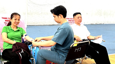 Tan Thoi Hiep Ward: Organizing a Voluntary Blood Donation Day