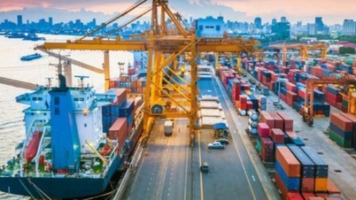 Descentralizar la autoridad de inspección de la seguridad alimentaria a los niveles locales para reducir los cuellos de botella en las importaciones.