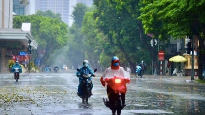 Prakiraan cuaca 10 hari: Vietnam Utara akan mengalami 4 hari hujan dan cuaca dingin ekstrem mulai tanggal 7 Februari.