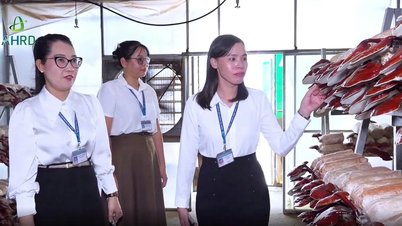 Giải thưởng Tôn Đức Thắng lần thứ 25 - Bài 2: Sáng kiến vì an toàn, phát triển bền vững