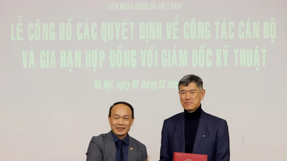 A Federação Vietnamita de Futebol (VFF) renova contrato com o diretor técnico japonês.