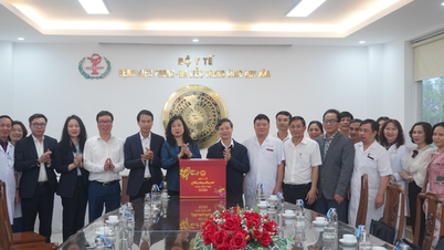 Minister Dao Hong Lan odwiedza, współpracuje i składa noworoczne życzenia Centralnemu Szpitalowi Dermatologicznemu i Chorobowemu w Quy Hoa.