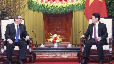 Luong Cuong elnök fogadja a Kubai Párt és Állam különmegbízottját.