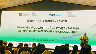 Comisia de Stat pentru Valori Mobiliare din Vietnam (UBCKNN) a emis un set de principii de guvernanță corporativă care sunt apropiate de standardele G20/OCDE.