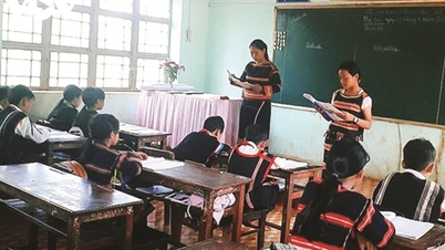 Amend regulations on organizing training and issuing certificates for ethnic minority languages.