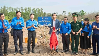 Amway Việt Nam phối hợp với Trung ương Đoàn thực hiện chương trình 'Lũy tre biên giới'