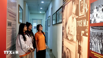 Gia Lai displays over 2,000 documents related to the election of National Assembly and People's Council representatives.