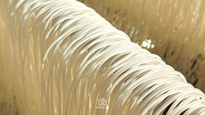 با نزدیک شدن به عید تت، روستاهای صنایع دستی سنتی پر از جنب و جوش و فعالیت هستند.